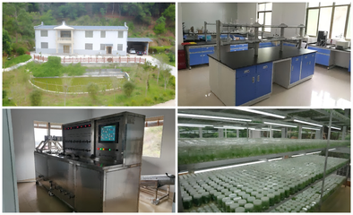 梅州市農(nóng)林科學(xué)院成功申報(bào)兩個(gè)省級(jí)工程技術(shù)研究中心